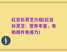 红豆衫灵芝介绍(红豆衫灵芝：营养丰富，有助提升免疫力)