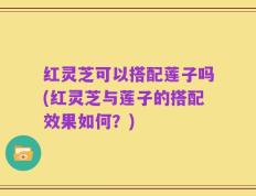 红灵芝可以搭配莲子吗(红灵芝与莲子的搭配效果如何？)