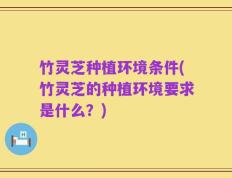 竹灵芝种植环境条件(竹灵芝的种植环境要求是什么？)