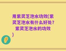 用紫灵芝泡水功效(紫灵芝泡水有什么好处？  紫灵芝泡水的功效)
