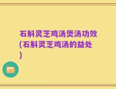 石斛灵芝鸡汤煲汤功效(石斛灵芝鸡汤的益处)