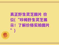 真正野生灵芝图片 价位(“珍稀野生灵芝展示！了解价格实拍图片”)