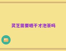 灵芝需要晒干才泡茶吗