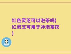 红色灵芝可以泡茶吗(红灵芝可用于冲泡茶饮)