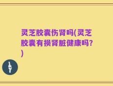 灵芝胶囊伤肾吗(灵芝胶囊有损肾脏健康吗？)