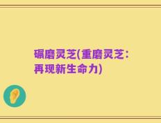 碾磨灵芝(重磨灵芝：再现新生命力)
