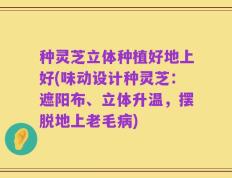 种灵芝立体种植好地上好(味动设计种灵芝：遮阳布、立体升温，摆脱地上老毛病)