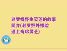 老罗找野生灵芝的故事简介(老罗野外探险 遇上奇珍灵芝)