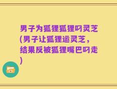 男子为狐狸狐狸叼灵芝(男子让狐狸运灵芝，结果反被狐狸嘴巴叼走)