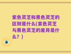 紫色灵芝和黑色灵芝的区别是什么(紫色灵芝与黑色灵芝的差异是什么？)