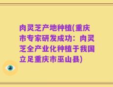肉灵芝产地种植(重庆市专家研发成功：肉灵芝全产业化种植于我国立足重庆市巫山县)