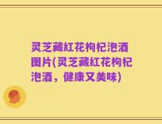 灵芝藏红花枸杞泡酒 图片(灵芝藏红花枸杞泡酒，健康又美味)