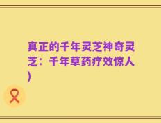 真正的千年灵芝神奇灵芝：千年草药疗效惊人)
