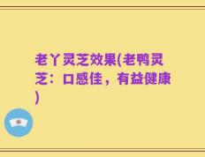 老丫灵芝效果(老鸭灵芝：口感佳，有益健康)
