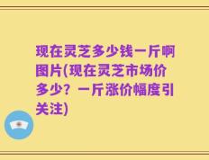 现在灵芝多少钱一斤啊图片(现在灵芝市场价多少？一斤涨价幅度引关注)