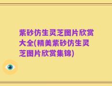 紫砂仿生灵芝图片欣赏大全(精美紫砂仿生灵芝图片欣赏集锦)