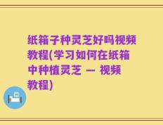 纸箱子种灵芝好吗视频教程(学习如何在纸箱中种植灵芝 — 视频教程)