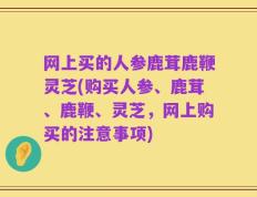 网上买的人参鹿茸鹿鞭灵芝(购买人参、鹿茸、鹿鞭、灵芝，网上购买的注意事项)