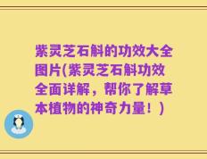 紫灵芝石斛的功效大全图片(紫灵芝石斛功效全面详解，帮你了解草本植物的神奇力量！)