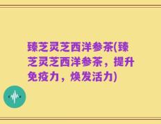 臻芝灵芝西洋参茶(臻芝灵芝西洋参茶，提升免疫力，焕发活力)