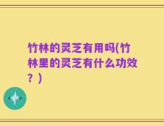 竹林的灵芝有用吗(竹林里的灵芝有什么功效？)