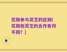 花旗参与灵芝的区别(花旗和灵芝的合作有何不同？)