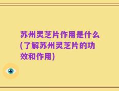 苏州灵芝片作用是什么(了解苏州灵芝片的功效和作用)