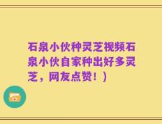 石泉小伙种灵芝视频石泉小伙自家种出好多灵芝，网友点赞！)