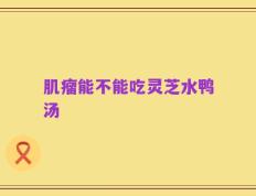 肌瘤能不能吃灵芝水鸭汤
