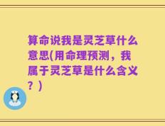 算命说我是灵芝草什么意思(用命理预测，我属于灵芝草是什么含义？)