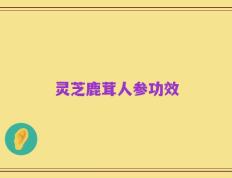 灵芝鹿茸人参功效