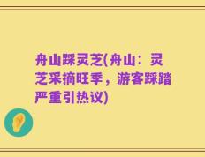 舟山踩灵芝(舟山：灵芝采摘旺季，游客踩踏严重引热议)