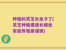 种植的灵芝长虫子了(灵芝种植遭遇长蠕虫 家庭养殖需谨慎)