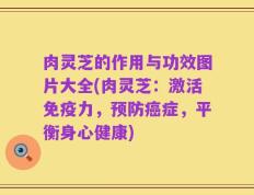 肉灵芝的作用与功效图片大全(肉灵芝：激活免疫力，预防癌症，平衡身心健康)