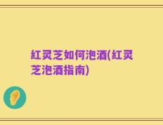 红灵芝如何泡酒(红灵芝泡酒指南)