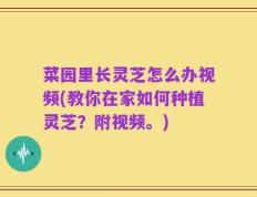菜园里长灵芝怎么办视频(教你在家如何种植灵芝？附视频。)