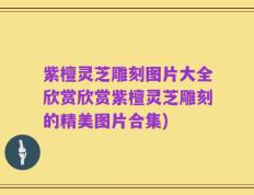 紫檀灵芝雕刻图片大全欣赏欣赏紫檀灵芝雕刻的精美图片合集)