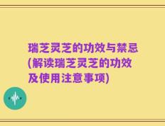 瑞芝灵芝的功效与禁忌(解读瑞芝灵芝的功效及使用注意事项)