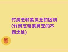 竹灵芝和紫灵芝的区别(竹灵芝和紫灵芝的不同之处)