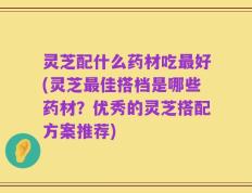 灵芝配什么药材吃最好(灵芝最佳搭档是哪些药材？优秀的灵芝搭配方案推荐)