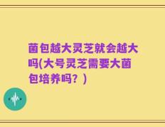 菌包越大灵芝就会越大吗(大号灵芝需要大菌包培养吗？)
