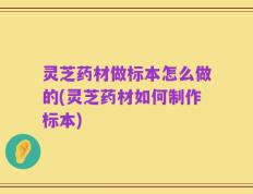 灵芝药材做标本怎么做的(灵芝药材如何制作标本)