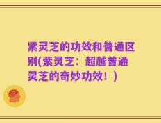 紫灵芝的功效和普通区别(紫灵芝：超越普通灵芝的奇妙功效！)