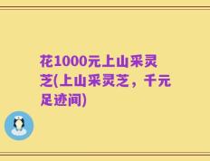花1000元上山采灵芝(上山采灵芝，千元足迹间)