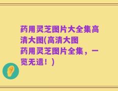 药用灵芝图片大全集高清大图(高清大图  药用灵芝图片全集，一览无遗！)