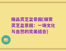 细品灵芝盆景园(细赏灵芝盆景园：一场文化与自然的完美结合)