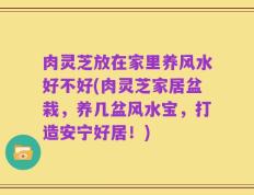 肉灵芝放在家里养风水好不好(肉灵芝家居盆栽，养几盆风水宝，打造安宁好居！)