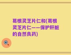葛根灵芝片仁和(葛根灵芝片仁——保护肝脏的自然良药)