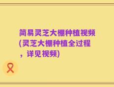 简易灵芝大棚种植视频(灵芝大棚种植全过程，详见视频)