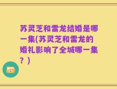苏灵芝和雷龙结婚是哪一集(苏灵芝和雷龙的婚礼影响了全城哪一集？)